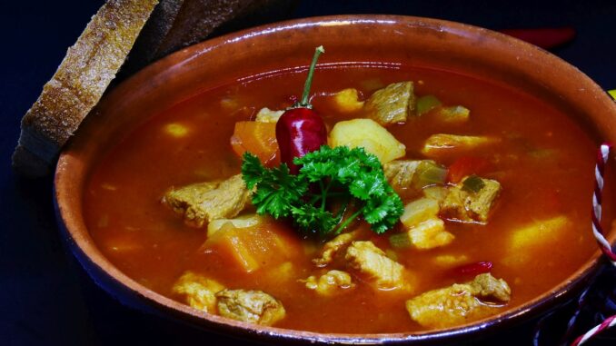 Mexican Chicken Soup